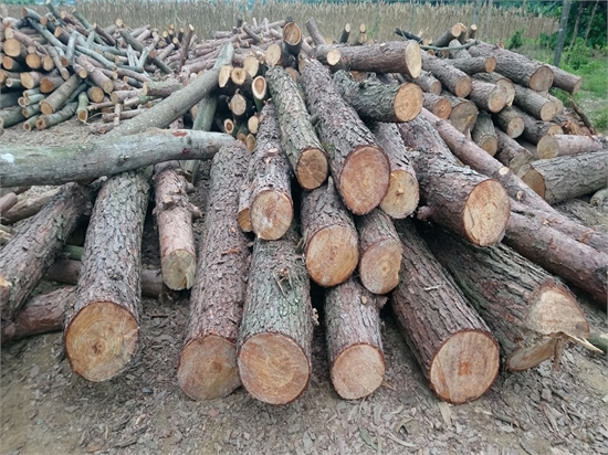 Pallet gỗ tự nhiên